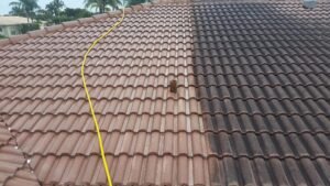 roof-cleaning-1.jpeg